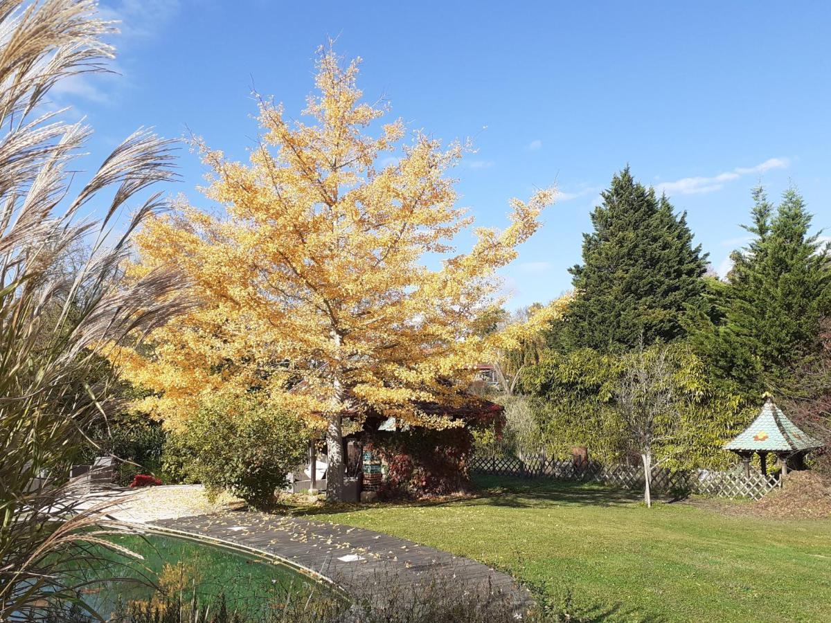 La Fee Des Eaux Bed & Breakfast Vernaison Bagian luar foto